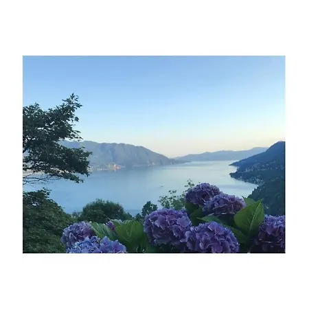 Appartement Majestic In Trarego-viggiona *